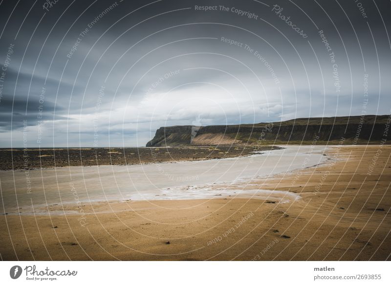 beach Nature Landscape Water Sky Storm clouds Horizon Spring Beautiful weather Bad weather Wind Coast River bank Beach Bay Fjord Ocean Exceptional Large Iceland