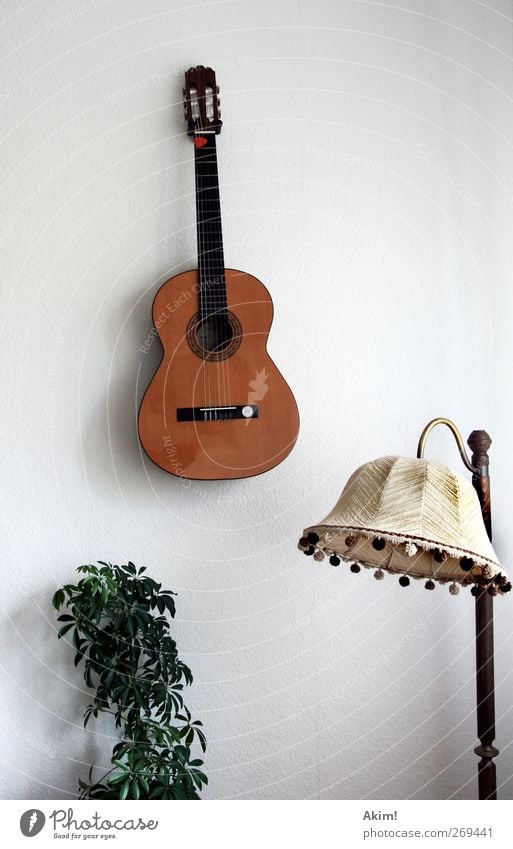 Silent sound life Music Listen to music Musician Guitar Esthetic Musical instrument Lampshade Seventies Still Life Houseplant Leisure and hobbies Calm