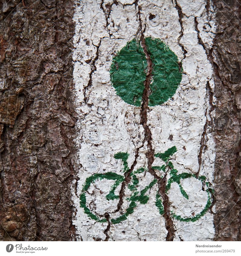 release Cycling tour Tree Traffic infrastructure Lanes & trails Sign Signs and labeling Brown Green White Mobility Pictogram Cycle path cycle Tree bark