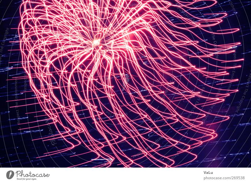jellyfish Night sky Spring Pink Red Joy Euphoria Firecracker New Year's Eve Exposure Colour photo Exterior shot Experimental Abstract Deserted