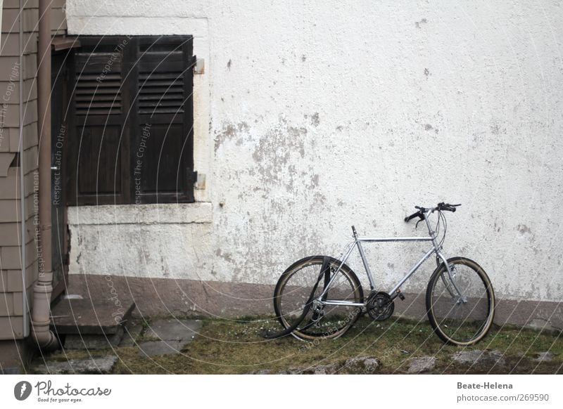 The ravages of time House (Residential Structure) Wall (barrier) Wall (building) Facade Window Bicycle Broken Gray Decline Level Colour photo Exterior shot