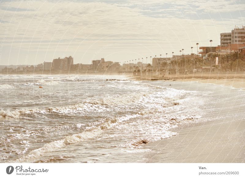 When I grow up, I live on the beach. Calm Vacation & Travel Tourism Island Waves Landscape Air Water Sky Clouds Spring Plant Tree Exotic Palm tree Coast Beach