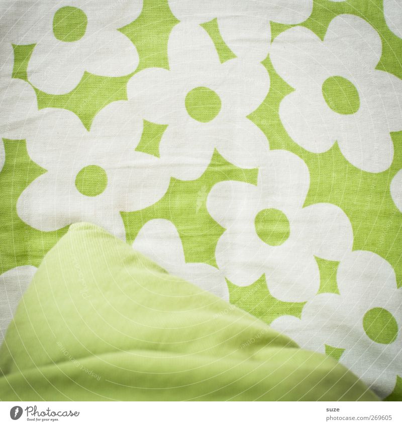 spotless Design Flower Blossom Cloth Happiness Fresh Beautiful Green White Cushion Textiles Graphic Wrinkles Decoration Abstract Background picture Colour photo