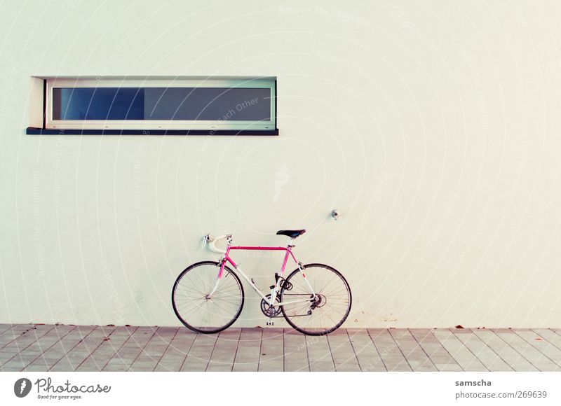 Let's ride Athletic Bicycle Wall (barrier) Wall (building) Facade Stand Pink Mobility Window Parking Racing sports Colour photo Exterior shot Deserted
