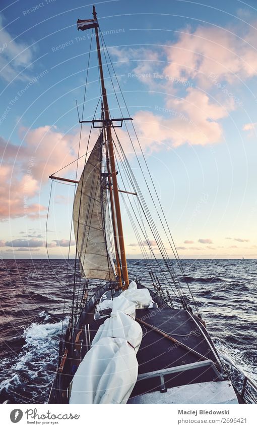 Old schooner sailing at sunset. Lifestyle Vacation & Travel Adventure Far-off places Freedom Cruise Sun Ocean Waves Sailing Sky Horizon Wind Gale North Sea