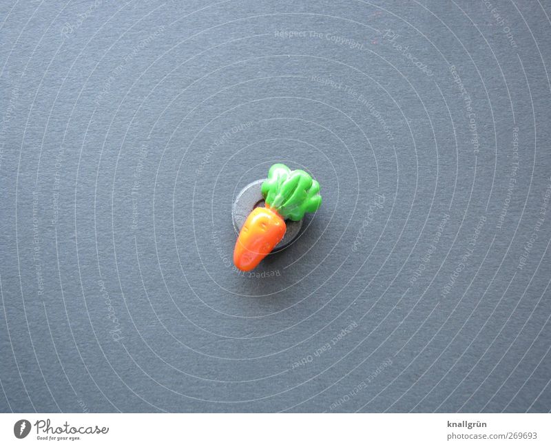 baby carrot Food Vegetable Carrot Nutrition Organic produce Vegetarian diet Magnet Small Gray Green Orange Healthy Creativity refrigerator magnet Colour photo