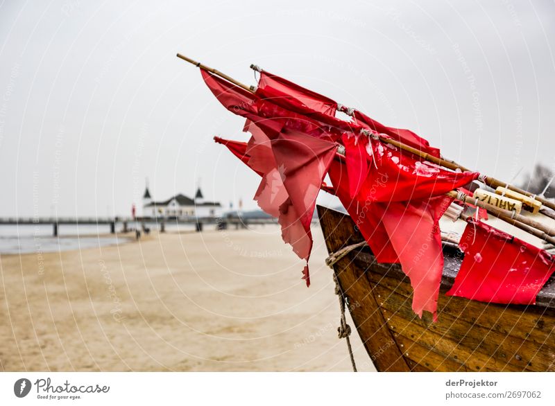 Fisherboat on Usedom II Central perspective Shallow depth of field Contrast Shadow Light Day Copy Space middle Copy Space bottom Copy Space left