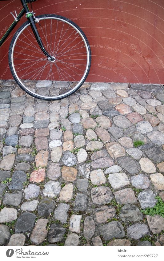 front wheel Bicycle Places Wall (barrier) Wall (building) Means of transport Stone Stand Round Gray Red Cobblestones Wheel Spokes Footpath Tire Front side