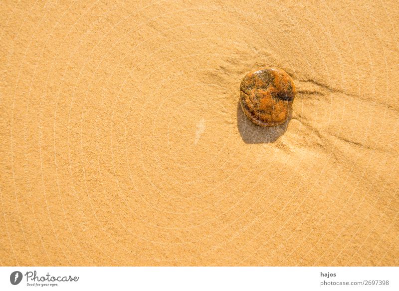 Stone at the Baltic Sea beach Beach Nature Sand Happiness Brown pebble Sandy beach Individual Right Text Copy Space Vacation photo Still Life