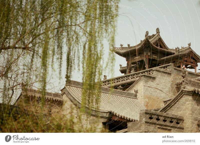 habitat Cloudless sky Spring Plant Tree Park Pingyao China Small Town Downtown Old town Skyline Populated House (Residential Structure) Hut Palace Castle