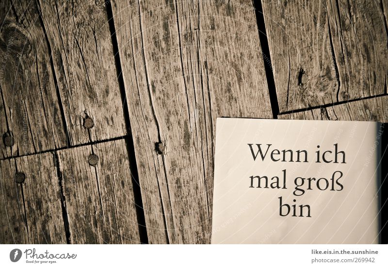 when I grow up.... Parenting Education Adult Education Study Professional training Academic studies Growth Change Wood Wooden board Large Wooden floor Woodway