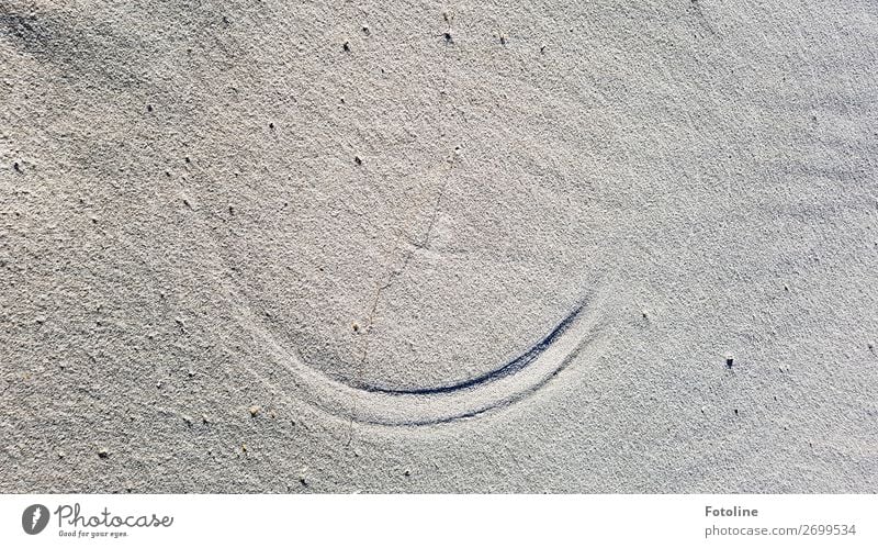 Nature is perfect Environment Elements Earth Sand Coast Beach North Sea Baltic Sea Island Bright Natural Semicircle Beach dune Draw Colour photo Subdued colour