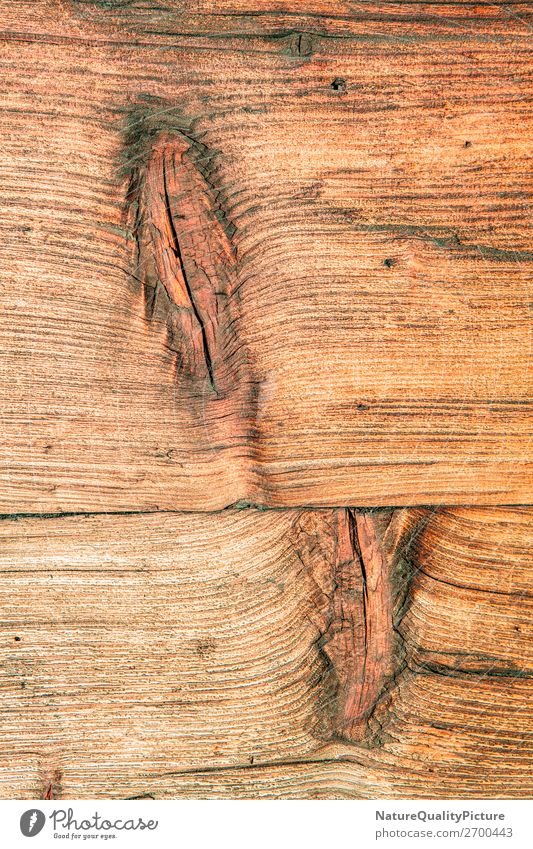 Old wood texture background dark carpentry construction stained decor exterior decorative empty fence weathered template tree obsolete knot aged space white row