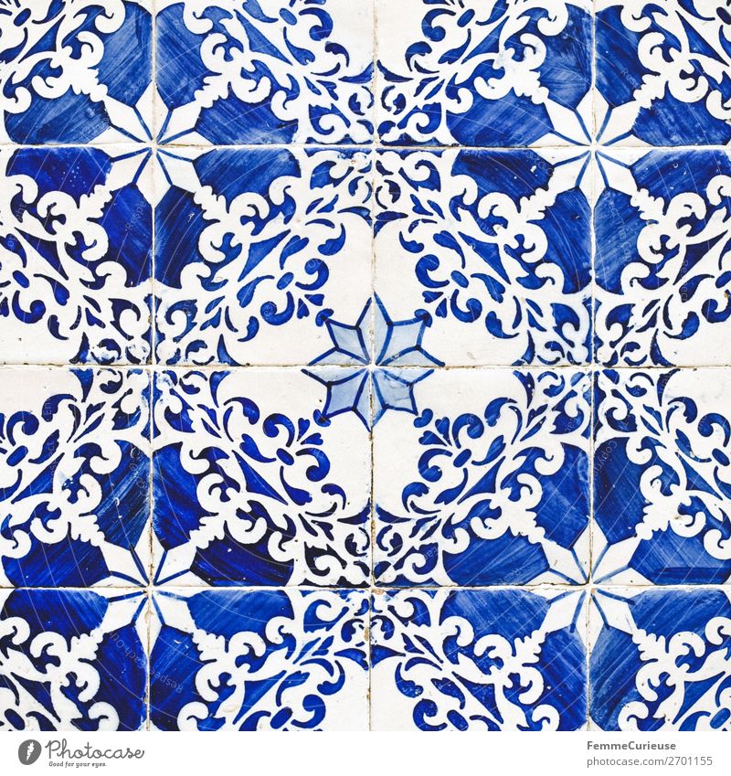 Colored wall tiles in Portugal House (Residential Structure) Blue White Tile Lisbon Pattern Blossom Painted Structures and shapes Blue-white Art Colour photo