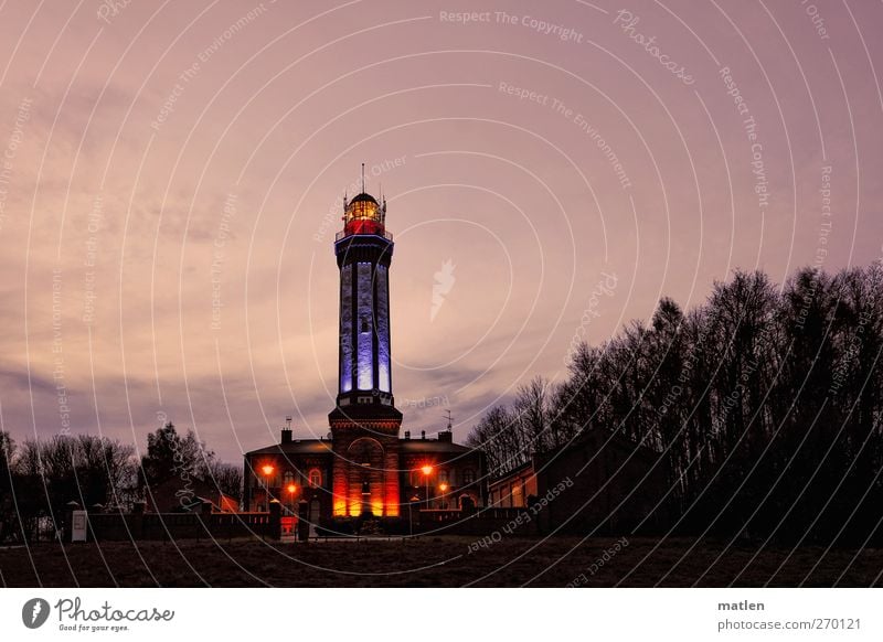 lighthouse Landscape Sky Night sky Tree Forest Deserted Lighthouse Landmark Illuminate Pink Black Romance Calm Colour photo Exterior shot Copy Space top