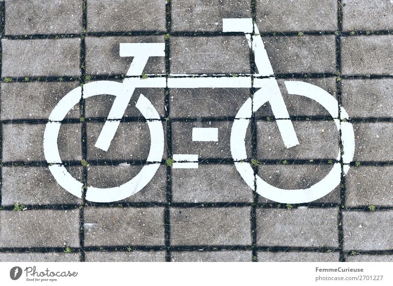 White bicycle symbol on cobblestones Sign Signs and labeling Movement Footpath Sidewalk Paving stone Bicycle Cycle path Cycling Cycling tour Colour photo