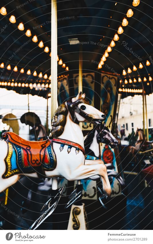 Illuminated horse carousel Leisure and hobbies Movement Hobbyhorse Carousel Fairs & Carnivals Rotate Lighting Attraction Colour photo Exterior shot