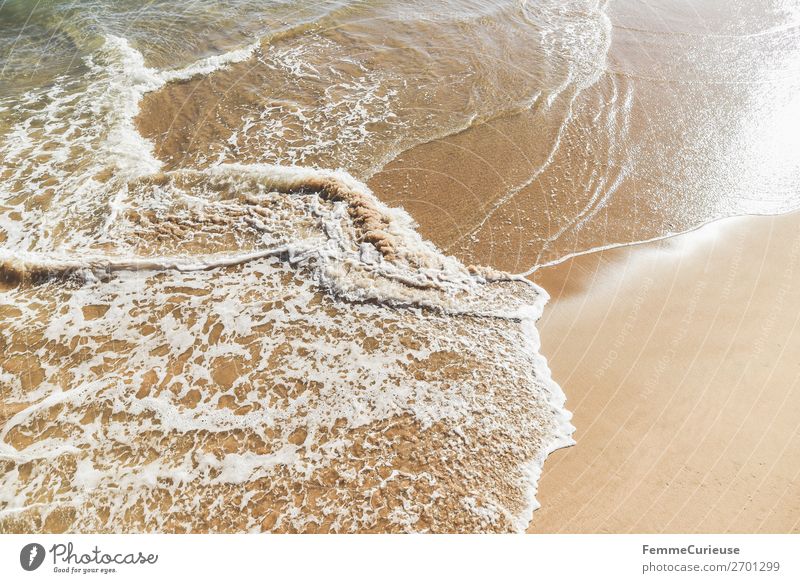 Foaming water of the Atlantic Ocean at a sandy beach Nature Vacation & Travel Sandy beach Water Vacation photo Vacation mood Travel photography Sunbeam