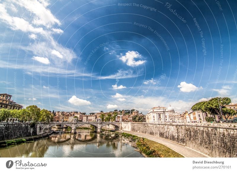 Rome/Tiber Vacation & Travel Sightseeing City trip Summer vacation Sky Clouds Beautiful weather Capital city Tourist Attraction Blue Bridge Old Ancient