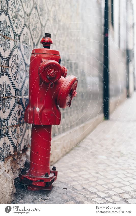 Red hydrant in front of colorful tile wall in Portugal House (Residential Structure) Fire hydrant Water Water supply Tile Facade Multicoloured Pattern