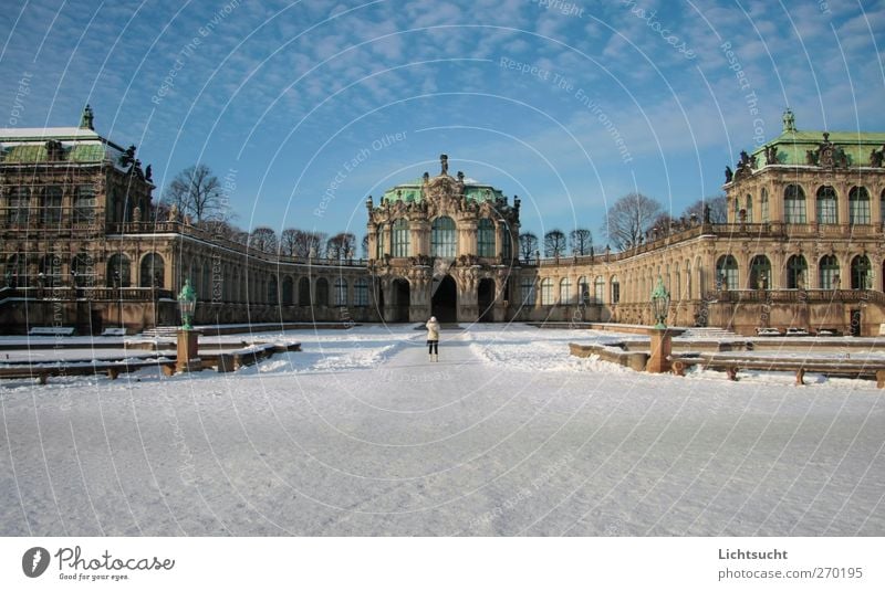 Kennel Dresden Sky Winter Beautiful weather Snow Altocumulus floccus Saxony Germany Europe Downtown Old town Deserted Manmade structures Architecture