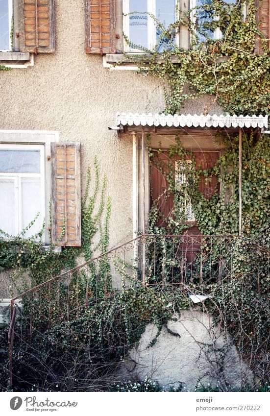 go in House (Residential Structure) Wall (barrier) Wall (building) Stairs Facade Window Door Old Ivy Colour photo Multicoloured Exterior shot Deserted Day