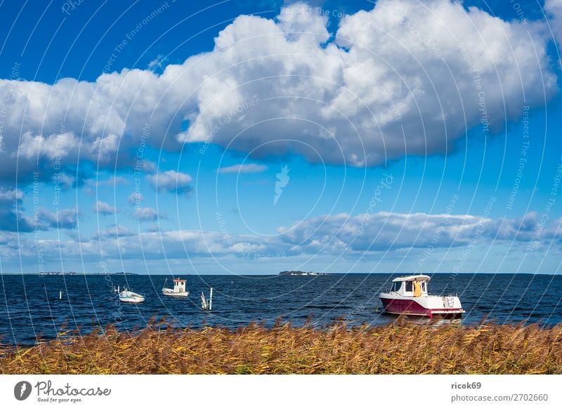 Boats on the Baltic Sea in Denmark Relaxation Vacation & Travel Tourism Nature Landscape Water Clouds Coast Harbour Tourist Attraction Watercraft Maritime Blue