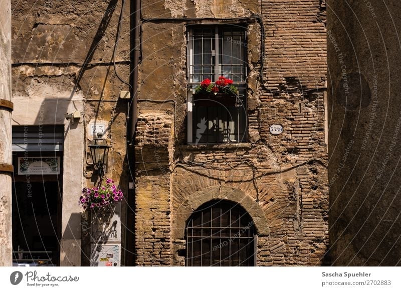 House 3339 Rome Italy Europe Old town House (Residential Structure) Architecture Wall (barrier) Wall (building) Facade Balcony Window Door Town