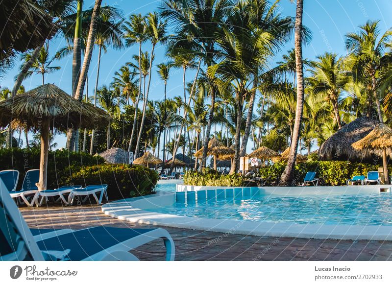 Bavaro Beaches in Punta Cana, Dominican Republic Relaxation Spa Vacation & Travel Tourism Summer Ocean Island Environment Nature Sand Tree Leaf Coast Building