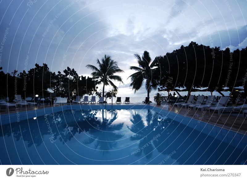 Pool and sea in Fiji Vacation & Travel Tourism Far-off places Freedom Summer vacation Beach Ocean Island Blue Colour photo Exterior shot Copy Space top