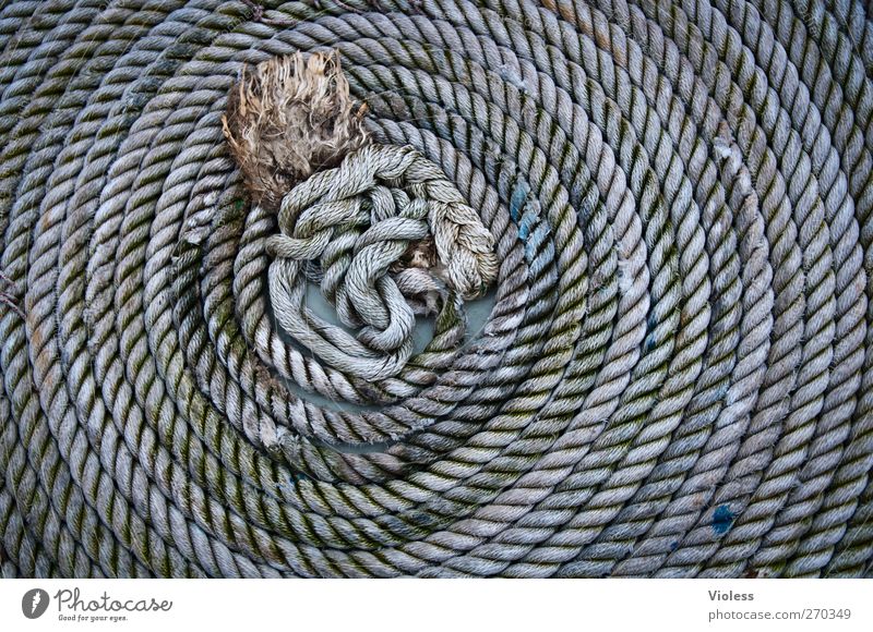 Hiddensee on the long line..... Navigation Harbour Rope Tug-of-war Gray Knot coiled Colour photo Exterior shot