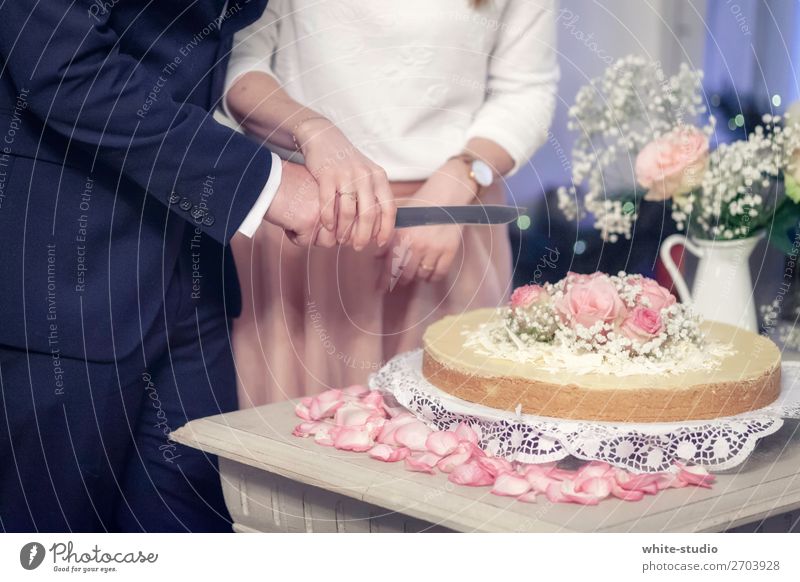749 Couple Cutting Cake Stock Photos, High-Res Pictures, and Images - Getty  Images