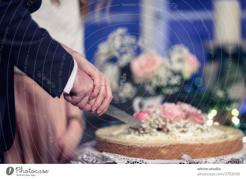 Time for wedding cake Couple Partner Love cut Partially visible Cake Knives Gateau wedding celebration Wedding Wedding couple Wedding ceremony Married couple
