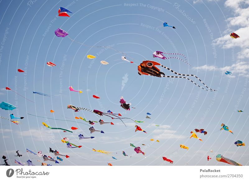 #AS# Dragon Day Art Esthetic Kite Hang glider Hang gliding Kite festival Event Festival Music festival Multicoloured Joy Sky Positive Childish Infancy