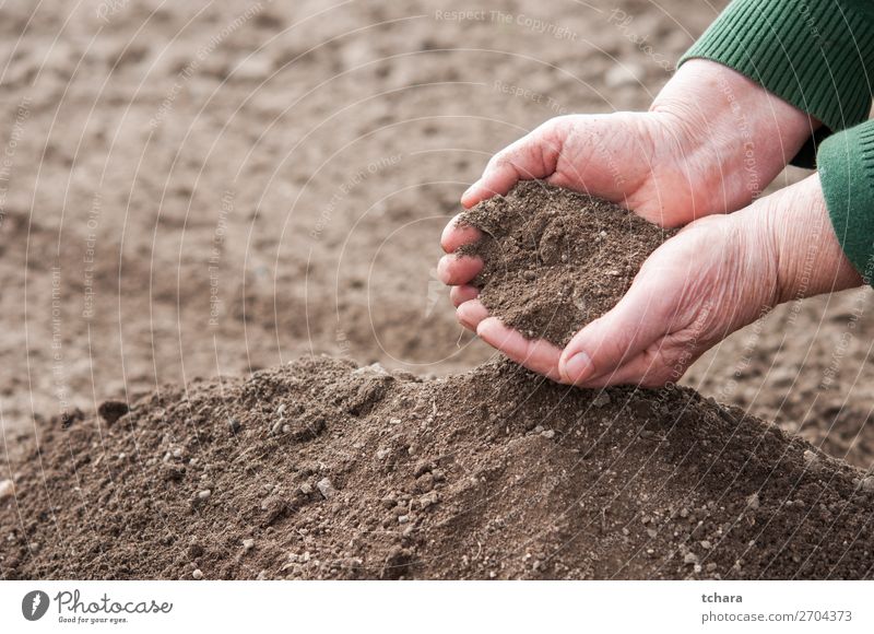 Hands full with fertile soil Garden Gardening Environment Nature Earth Dirty Dark Fresh Wet Natural Rich Brown Black Consistency background Ground agriculture