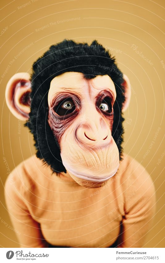 Woman with monkey mask starring into the camera Feminine Adults 1 Human being 18 - 30 years Youth (Young adults) 30 - 45 years Joy Monkeys Chimpanzee Latex Mask
