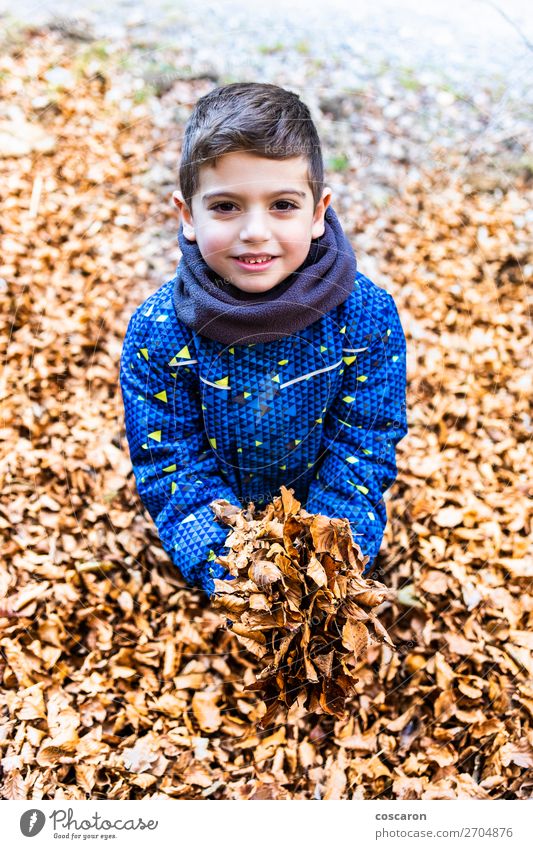 Boy with a heap of leaves in his hands Lifestyle Joy Happy Beautiful Leisure and hobbies Playing Vacation & Travel Expedition Winter Mountain Garden Education