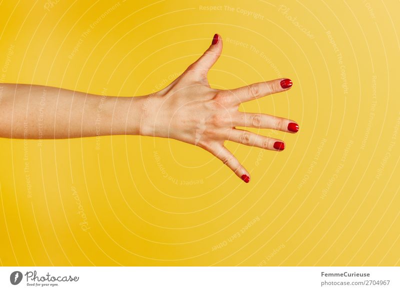 Forearm and hand with spread fingers against a yellow background Feminine Woman Adults 1 Human being 18 - 30 years Youth (Young adults) 30 - 45 years Creativity