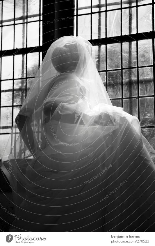 Wedding Day Feminine Young woman Youth (Young adults) 1 Human being 18 - 30 years Adults Church Dome Window Wedding dress Bridal veil Chignon Looking Stand