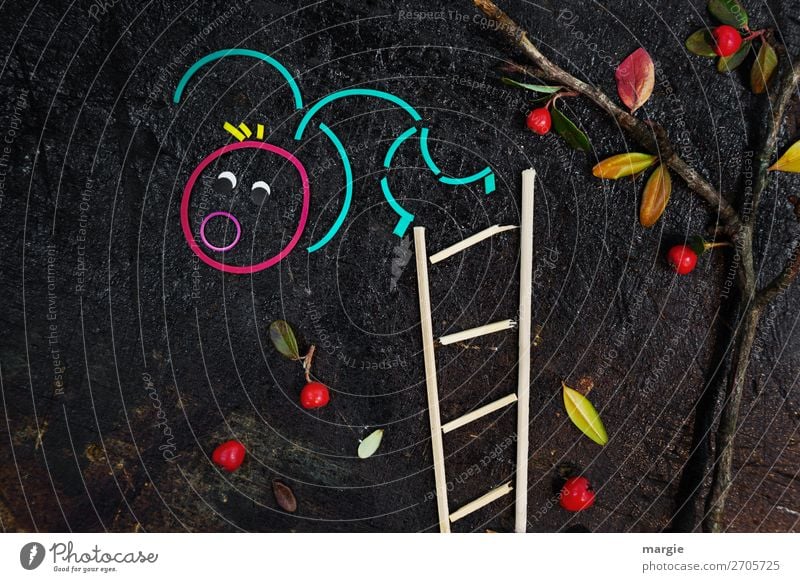 Holterdipolter | Crash Fruit Vegetarian diet Human being Masculine Feminine Androgynous Woman Adults Man 1 Tree Leaf Garden Brown Multicoloured Red Rung Ladder