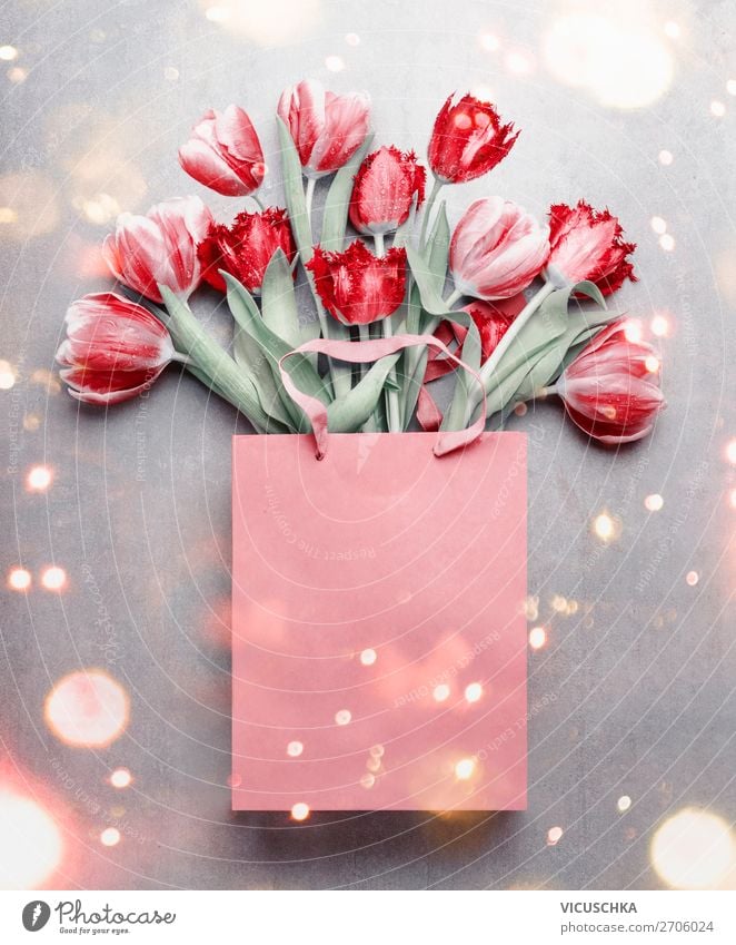 Red tulips in the gift bag. Shopping Design Feasts & Celebrations Valentine's Day Mother's Day Birthday Nature Plant Spring Flower Tulip Decoration Bouquet Love