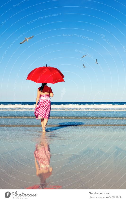 Walk by the sea Vacation & Travel Freedom Summer Summer vacation Sun Beach Ocean Human being Feminine Woman Adults Nature Landscape Elements Water Cloudless sky