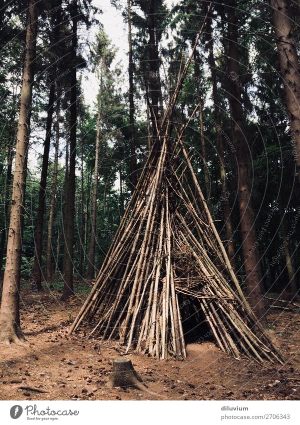 home Joy Trip Adventure Forest Woodground Branch Tree house Tee Pee Build Living or residing Brown Protection Colour photo Subdued colour Exterior shot Deserted