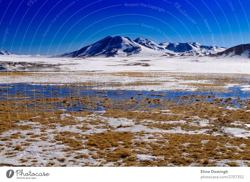 salt lakes and mountains on the border of Chile and Bolivia Nature Landscape Mountain South America Adventure Colour photo Exterior shot Panorama (View)