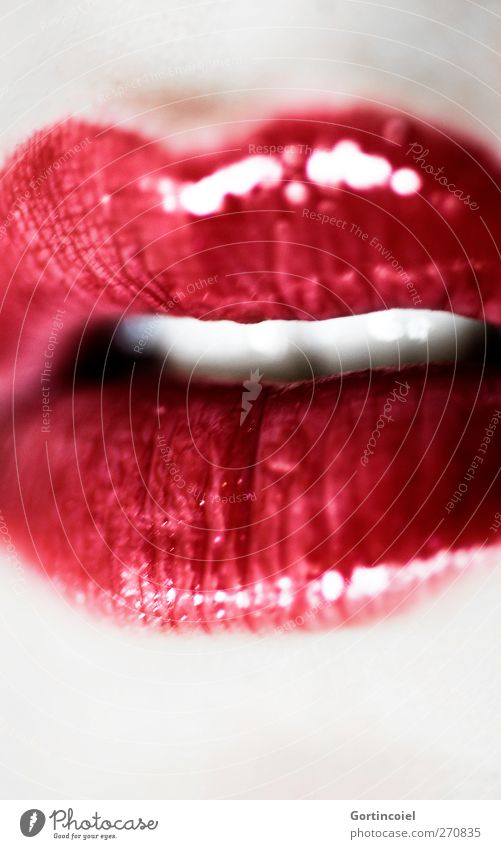 bouche Human being Feminine Mouth Lips Teeth Esthetic Passion Love Eroticism Lipstick Red Pout Kissing Glittering Lipgloss Colour photo Close-up Detail