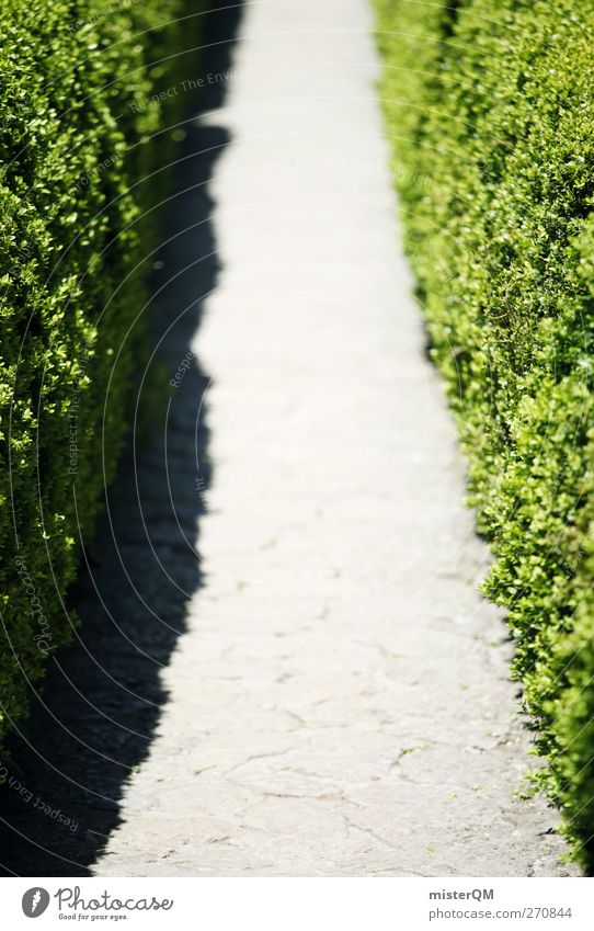 Off through the... Art Esthetic Nature Lanes & trails Green Symmetry Accuracy Forest path Hedge Trimmed Horticulture Gate Colour photo Subdued colour