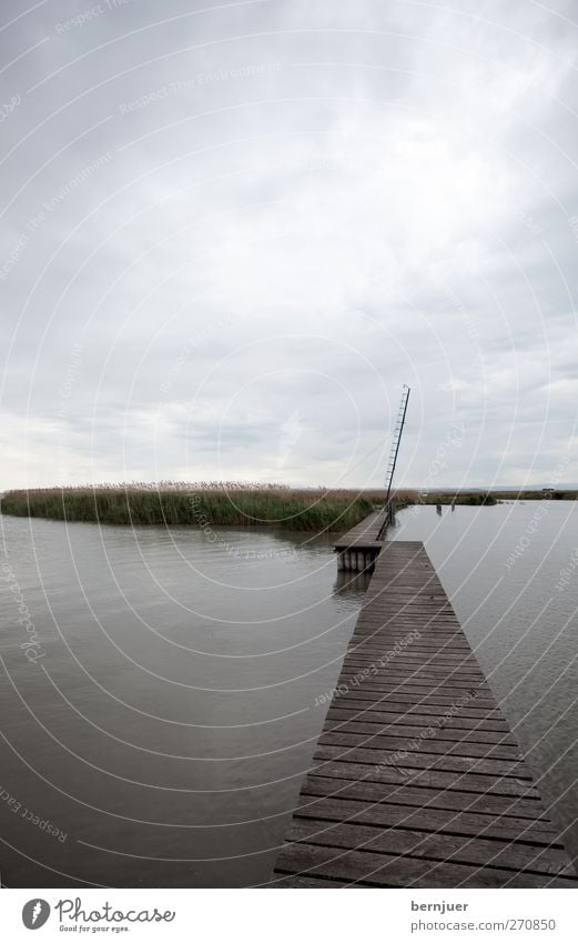 narrow gauge Nature Landscape Water Sky Clouds Summer Plant Coast Lakeside Deserted Inland navigation Harbour Long Brown Footbridge Wood Island Lake Neusiedl