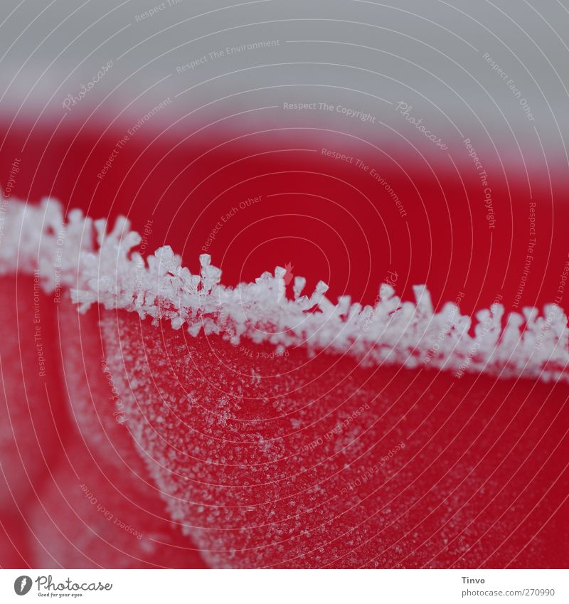 cold raspberry peel Winter Ice Frost Cold Red White Frozen Hoar frost Ice crystal Plastic figurine Bowl Colour photo Exterior shot Close-up Abstract