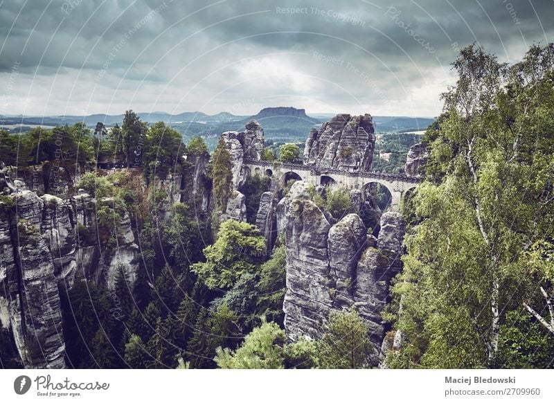 Vintage toned picture of Bastei Bridge, Germany. Vacation & Travel Tourism Trip Adventure Sightseeing Mountain Hiking Nature Landscape Tree Park Forest Rock