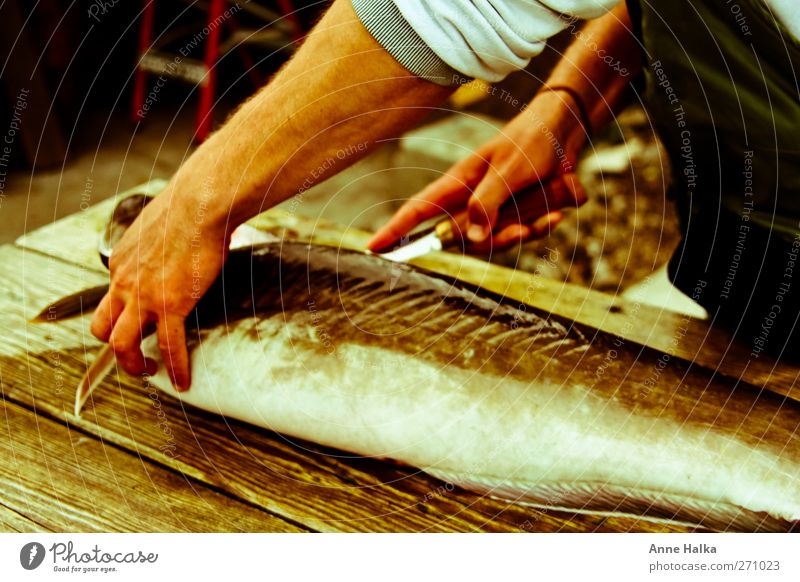 Lengfish filleting in Alt Arm Hand 1 Human being Dead animal Fish Catch To feed Ocean Fishing (Angle) Bait Pork tenderloin Knives Water wings Cooking Roast
